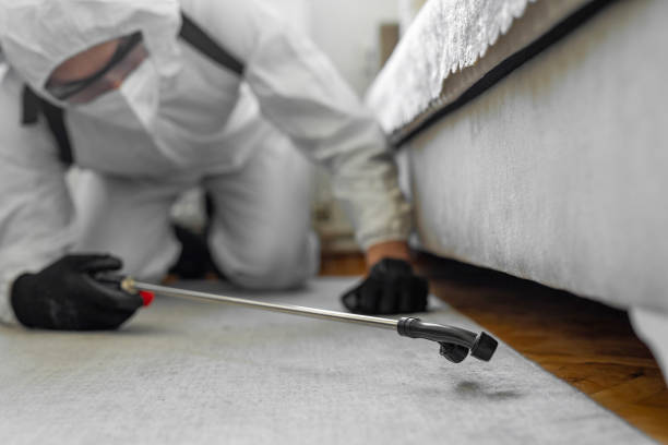 Professional Bed Bug Control technician working in Chena Ridge, AK