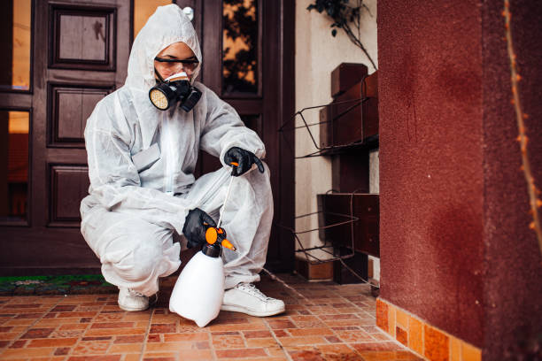 Reliable Bed Bug Control contractor in Chena Ridge, AK by Nex Pest Control